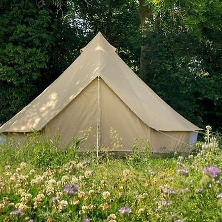 Отель 'T Schaaphof Tent En Ontbijt Дейнзе Экстерьер фото
