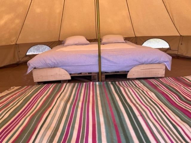 Отель 'T Schaaphof Tent En Ontbijt Дейнзе Экстерьер фото